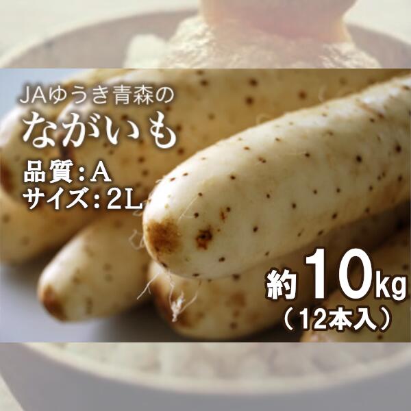 【ふるさと納税】青森県特産ながいも　A2L（12本入）約10kg　【02408-0038】 # 長芋 品質A 2Lサイズ 東北町 山芋 やまいも とろろ 青森県 ゆうき青森農業協同組合 JAゆうき青森｜価格・送料・ポイント還元まとめ