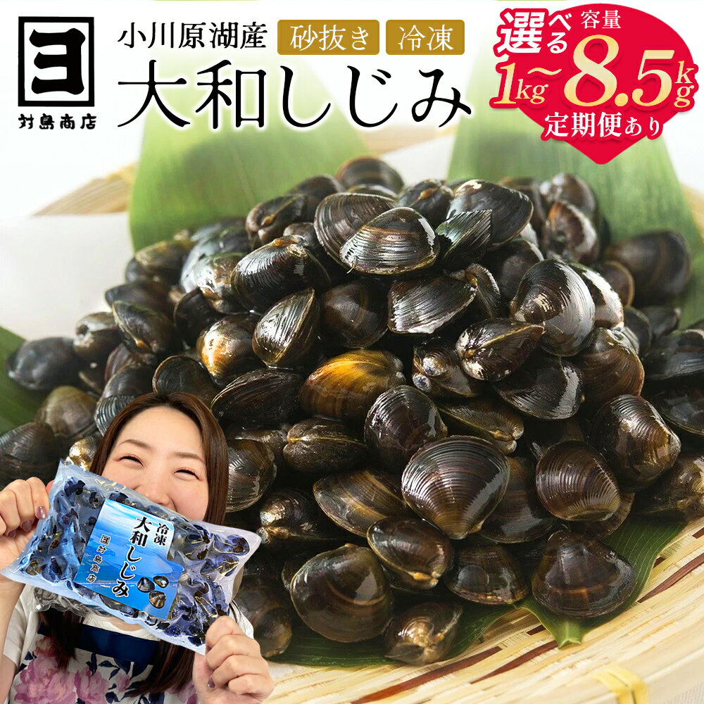 【ふるさと納税】砂抜き済みで手間いらず！冷凍・小川原湖産大和しじみ ≪選べる容量・定期便≫【02408-0084～91・30～31・74～75】# 大和しじみ しじみ 小川原湖 東北町 青森県 砂抜き 冷凍 対島商店｜価格・送料・ポイント還元まとめ｜レビュー16件