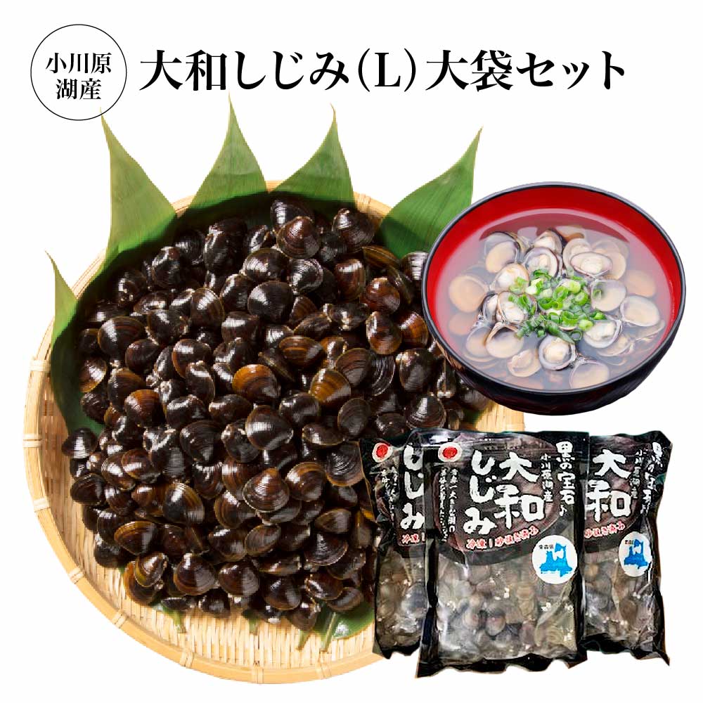 【ふるさと納税】小川原湖産　大和しじみ(L)大袋セット　1kg×3パック/計3kg　【02408-0129】 大和しじみ 魚介 お取り寄せ グルメ ご褒美 小川原湖 東北町 青森県 冷凍 小川原湖漁業協同組合｜価格・送料・ポイント還元まとめ