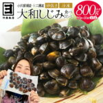 【ふるさと納税】砂抜き済みで手間いらず！対島商店 活しじみ食べ比べセット【冷凍】（小川原湖のしじみ80g×5袋・十三湖のしじみ80g×5袋） 【02408-0145】 大和しじみ しじみ 小川原湖 東北町 青森県 砂抜き 冷凍 対島商店｜価格・送料・ポイント還元まとめ