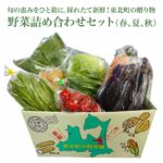 【ふるさと納税】野菜詰め合わせセット（春、夏、秋） 野菜 詰め合わせ 旬 季節 東北町 青森県 送料無料　【02408-0134】｜価格・送料・ポイント還元まとめ
