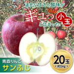 【ふるさと納税】 青森りんご サンふじ 約5kg (小玉20玉) 【マルス果樹園】 リンゴ 林檎 アップル 果物 くだもの フルーツ 3kg 以上 おすすめ あおもり 青森 青森県 三戸 南部町 F21U-101｜価格・送料・ポイント還元まとめ｜レビュー2件