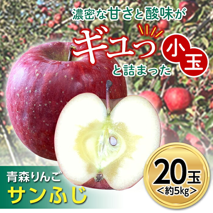 【ふるさと納税】 青森りんご サンふじ 約5kg (小玉20玉) 【マルス果樹園】 リンゴ 林檎 アップル 果物 くだもの フルーツ 3kg 以上 おすすめ あおもり 青森 青森県 三戸 南部町 F21U-101｜価格・送料・ポイント還元まとめ｜レビュー2件
