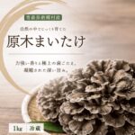 【ふるさと納税】しんごう原木まいたけ　1kg　出荷開始時期：10月1日〜10月20日｜価格・送料・ポイント還元まとめ