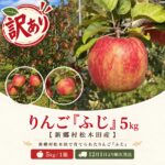 【ふるさと納税】【訳あり】りんご「ふじ」5kg（新郷村松木田産） 林檎　リンゴ　フジ　出荷開始時期：12月1日～1月31日｜価格・送料・ポイント還元まとめ