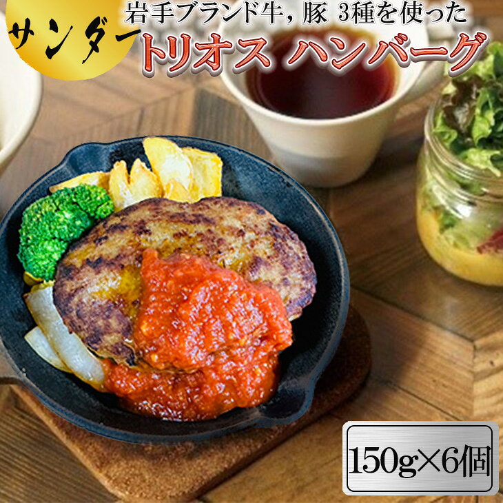 【ふるさと納税】サンダー トリオス ハンバーグ 150g×6個 肉バルサンダー 前沢牛 短角牛 岩中豚 ブランド豚 ブランド牛 花巻市｜価格・送料・ポイント還元まとめ
