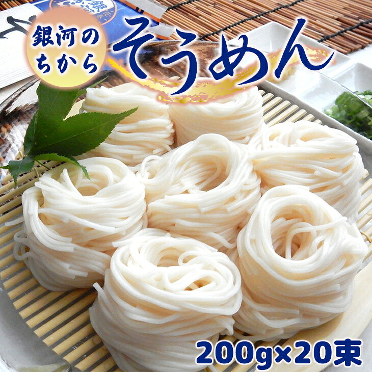 【ふるさと納税】「銀河のちから」そうめん 200g×20束 ギフト 岩手県 花巻市 JA いわて｜価格・送料・ポイント還元まとめ