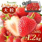 【ふるさと納税】2027年先行予約 いちご とちあいか 訳あり 1.2kg 500g 大粒 不揃い ぎっしり定期便 3回 ｜ 選べる発送期間 苺 イチゴ フルーツ 人気 産地直送 果物 完熟 高糖度 スイーツ お取り寄せ 栃木県 真岡市 送料無料｜価格・送料・ポイント還元まとめ｜レビュー14件