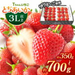 【ふるさと納税】2027年先行予約 いちご 3L以上 大粒 とちあいか 訳あり 350g 700g 選べる 定期便 3回 ｜ 苺 イチゴ フルーツ 人気 スイーツ お取り寄せ 産地直送 果物 旬 完熟 高糖度 詰め合わせ 栃木県 真岡市 送料無料｜価格・送料・ポイント還元まとめ｜レビュー3件