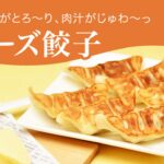 【ふるさと納税】【9月30日受付終了】「宇都宮餃子館」チーズ餃子 960g（48個）｜ギョーザ 冷凍餃子 冷凍食品 グルメ 食品 惣菜 中華惣菜 点心 中華 送料無料｜価格・送料・ポイント還元まとめ｜レビュー2件