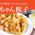 【ふるさと納税】【9月30日受付終了】「宇都宮餃子館」舞ちゃん餃子 960g（48個）｜ギョーザ 冷凍餃子 冷凍食品 グルメ 食品 惣菜 中華惣菜 点心 中華 送料無料｜価格・送料・ポイント還元まとめ