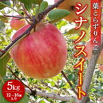 【ふるさと納税】葉とらずりんご【シナノスイート】5kg　12個～16個入り【9月30日受付終了】 ※2026年10月～発送｜価格・送料・ポイント還元まとめ