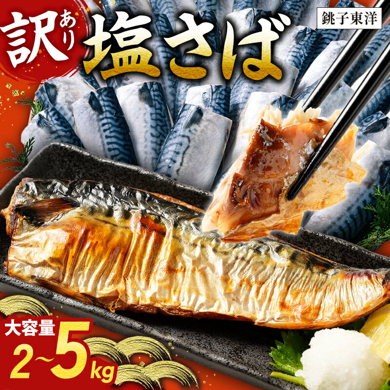 【ふるさと納税】 訳あり 塩サバ フィーレ 【選べる内容量】約 2kg 約 3kg 約 3.5kg 約 5kg 鯖 さば 塩鯖 フィレ 切り身 切身 大容量 たっぷり 人気 規格外 贈答 ギフト お取り寄せ グルメ 惣菜 魚 海鮮 魚貝 魚介 冷凍 冷凍食品 ふるさと納税鯖 千葉県 銚子市 銚子東洋｜価格・送料・ポイント還元まとめ｜レビュー622件