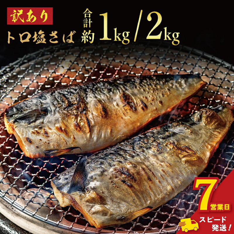 【ふるさと納税】 ＼ スピード発送 ／ 訳あり トロ 塩さば 【選べる容量】約 1kg・約 2kg 鯖 さば 冷凍 大容量 人気 魚 魚介 魚貝 海鮮 贈答 プレゼント ギフト お取り寄せ グルメ 送料無料 不揃い 規格外 ふるさと納税 ふるさと納税鯖 千葉県 銚子市 飯田商店 iidachoshi｜価格・送料・ポイント還元まとめ｜レビュー1123件