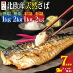 【ふるさと納税】 ＼ スピード発送 ／ 訳あり 骨取り 無塩さば 有塩さば 約1kg・約2kg 楽天限定 期間限定 鯖 さば 無塩 有塩 骨なし 骨抜き 切身 切り身 大容量 人気 魚 魚介 魚貝 海鮮 お取り寄せ 送料無料 ふるさと納税 ふるさと納税鯖 千葉県 銚子市 飯田商店 iidachoshi｜価格・送料・ポイント還元まとめ｜レビュー2507件