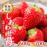 【ふるさと納税】【2027年1月より発送】自宅用 いちご 600-700g [しあわせ苺] サイズ バラバラ 品種おまかせ のため 訳あり 訳アリ 紅ほっぺ 農園直送 こだわり 甘さ フルーツ 先行予約 スイーツ 苺 イチゴ 人気 簡易梱包 家庭用 産地直送 送料無料 岐阜県 本巣市 [mt206]｜価格・送料・ポイント還元まとめ
