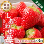 【ふるさと納税】【定期便3回】【2027年1月より発送開始】自宅用 いちご 品種おまかせ 1kg (250g × 4p ）3か月 [mt1307] フルーツ 果物 スイーツ いちご イチゴ しあわせ苺 サイズ バラバラ 訳あり 訳アリ 農園直送 送料無料 人気 苺 国産 岐阜県 本巣市 先行予約 45000円｜価格・送料・ポイント還元まとめ
