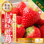 【ふるさと納税】【2027年1月より発送開始】【プレミアム 定期便 全7回】自宅用 いちご 品種おまかせ 1kg (250g × 4p ） 7回 [mt1800]｜フルーツ 果物 スイーツ 苺 いちご イチゴ しあわせ苺 訳あり 訳アリ 農園直送 送料無料 人気 苺 国産 岐阜県 本巣市 2027年 先行予約｜価格・送料・ポイント還元まとめ