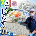 【ふるさと納税】楽天限定 しらす しらす干し 三河しらす 1kg へきなん優良みやげ推奨品 魚介類 国産海の幸 ご飯のお供 おつまみ しらす丼 サラダ ギフト 贈答用 お歳暮 お取り寄せ お取り寄せグルメ 食品 愛知 送料無料｜価格・送料・ポイント還元まとめ｜レビュー4件