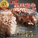 【ふるさと納税】【訳あり】黒毛和牛 A5 ハンバーグ 140g ×5〜15個｜国産 和牛 真空個包装 冷凍 お取り寄せグルメ 京都 舞鶴｜価格・送料・ポイント還元まとめ｜レビュー48件