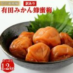 【ふるさと納税】訳あり有田みかん蜂蜜梅干（紀州南高梅）1.2kg（600g×2） | 九度山町 訳あり 蜂蜜漬け 梅干し 南高梅 人気 おすすめ ご飯のお供 健康食品 和風惣菜 常温保存 和歌山特産 お取り寄せ 送料無料 ふるさと納税｜価格・送料・ポイント還元まとめ｜レビュー1件