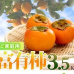 【ふるさと納税】「2026年11月上旬以降発送予定」［ご家庭用わけあり］和歌山秋の味覚　富有柿　約3．5kg［UT51］ | 九度山町 秋の味覚 家庭用 果物たっぷり 人気 おすすめ 柿 フルーツ 果物 果実 スイーツ 自宅用 お取り寄せ 送料無料 ふるさと納税｜価格・送料・ポイント還元まとめ