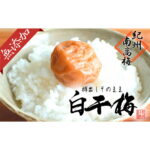 【ふるさと納税】無添加　白干梅　(2L～3Lサイズ、800g）紀州南高梅　【梅農家厳選　手づくり梅干】 | 白浜町 無添加製法 天然塩使用 大粒梅 手づくり梅干し 人気 おすすめ 和歌山産 ご飯のお供 健康 保存食 お取り寄せ 送料無料 ふるさと納税｜価格・送料・ポイント還元まとめ｜レビュー18件