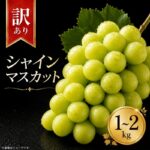 【ふるさと納税】 訳あり シャインマスカット 選べる容量 約1kg 約1.5kg 約2kg ＜ 2026年8月上旬～9月下旬頃発送 ＞ ぶどう 葡萄 マスカット フルーツ 果物 ゼリー ジュース アイス デザート スイーツ ケーキ グルメ 人気 おすすめ 甘い 送料無料 三木ぶどう園 徳島県 阿波市｜価格・送料・ポイント還元まとめ｜レビュー3件