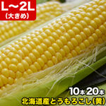 【2026年収穫予約】とうもろこし 黄粒 L～2L 10本 20本 選べる［北海道産 とうきび］ 【お届け日指定不可無効】 【2026年8月下旬前後頃よりご注文順に発送】｜価格・送料・ポイント還元まとめ｜レビュー68件