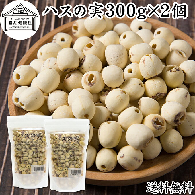 ハスの実 300g×2個 蓮の実 はすの実 蓮実 レンジツ アルカロイド 保存料 無添加 乾燥 無漂白 無着色 蓮茶 はす茶 薬膳茶 業務用 食材 健康食材 漢方 薬膳 美容 ダイエット ごはん 具材 スープ 炊き込みご飯 鍋 煮込み 中華食材 茹でる おかゆ お粥 おこわ 甘納豆 砂糖漬け｜価格・送料・ポイント還元まとめ