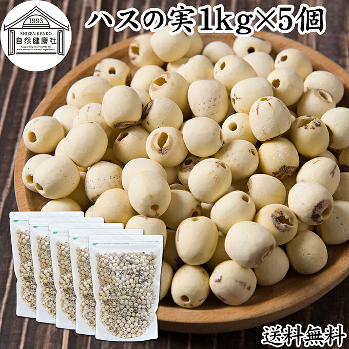 ハスの実 1kg×5個 蓮の実 はすの実 蓮実 レンジツ アルカロイド 保存料 無添加 乾燥 無漂白 無着色 蓮茶 はす茶 薬膳茶 業務用 食材 健康食材 漢方 薬膳 美容 ダイエット ごはん 具材 スープ 炊き込みご飯 鍋 煮込み 中華食材 茹でる おかゆ お粥 おこわ 甘納豆 砂糖漬け｜価格・送料・ポイント還元まとめ