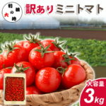 国産 ミニトマト 6kg 訳あり トマト 送料無料 野菜 Tomato 家庭用 大容量 不揃い 規格外 新鮮 甘い ジューシー 食べ物 やさい サラダ ジュース用 お弁当 彩り 野菜セット まとめ買い 箱買い 業務用 ご家庭用 食品 【利根の大地】｜価格・送料・ポイント還元まとめ