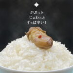 【塩漬け】ぺそら漬 250g ／ 1袋 いげたや庄司醸造 ぺちょら漬 老舗 国産野菜 茄子 山形県 大石田町 無添加 地域限定 つけもの 漬物 郷土料理 香の物 ご飯のお供 肴 ご当地 おつまみ 土産 お取り寄せ 辛い 乳酸発酵 珍味 ピリ辛 発酵食品 本場の本物 発酵漬物｜価格・送料・ポイント還元まとめ｜レビュー61件