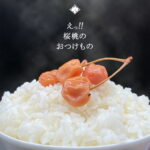 【無添加 国産 漬物】塩漬け さくらんぼ漬 1袋 120g 山形 桜桃 ナポレオン 甘酸っぱい梅漬け風 珍しい漬物 お茶うけ ご飯のお供 日本酒 ワインのおつまみ 老舗 いげたや庄司醸造 老舗 大石田町 地域限定 つけもの 漬け物 香の物 ご当地 お取り寄せ お土産 グルメ｜価格・送料・ポイント還元まとめ｜レビュー23件