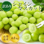 【9月1日~順次出荷】山梨 訳あり シャインマスカット 勝沼 甲州 1kg 産地直送 種なし 皮ごと 食べられる 甘い ぶどう ブドウ 葡萄 フルーツ ギフト 家庭用 ご自宅用 送料無料 お取り寄せ 旬 果物 人気 新鮮 スイーツ デザート ご褒美 名産｜価格・送料・ポイント還元まとめ｜レビュー82件