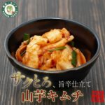 【韓菜-カンナ】山芋キムチ 250g 山芋 長芋 キムチ 国産 刻み 漬物 おつまみ 珍味 ご飯のお供 無添加 手作り 本格 韓国料理 腸活 食物繊維 美容 発酵食品 甘辛 サクサク 韓菜カンナ ビールに合う 晩酌 お取り寄せ ギフト 贈答 詰め合わせ 冷蔵 免疫力｜価格・送料・ポイント還元まとめ｜レビュー7件