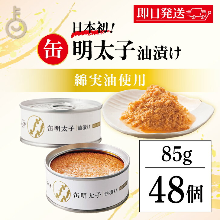 【マラソン限定！最大2000円OFF】 ふくや 缶明太子 油漬け 85g 48個 明太子 おつまみ めんたいこ 子明太子 油漬け ギフト プレゼント お返し キャンプ飯 人気 綿実油 めんじつゆ かんめんたいこ グルメ缶詰 ご飯のお供 博多土産 プチギフト 常温保存 粗品 缶詰 福袋｜価格・送料・ポイント還元まとめ