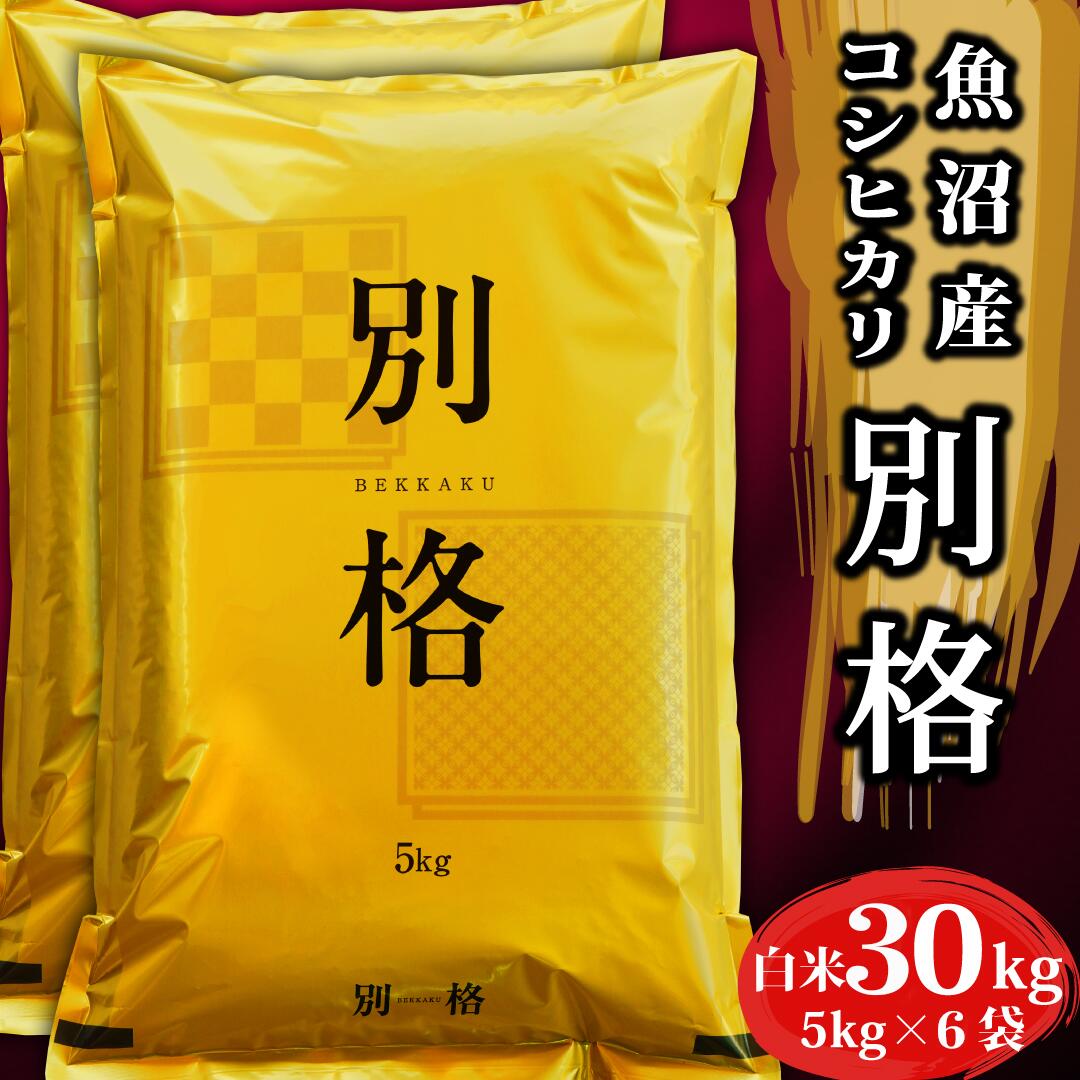 米 令和7年 コシヒカリ30kg 「 別格 」 新潟県 魚沼産 お米 白米 30キロ 令和7年産 魚沼産コシヒカリ 新潟県産コシヒカリ こしひかり 有機室肥料栽培 農薬節減 天日干し 魚沼 新潟県魚沼産 棚田米 精米 おこめ｜価格・送料・ポイント還元まとめ