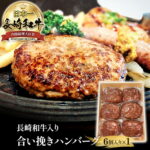 長崎和牛 極ハンバーグ 6個セット (1個160g) | 黒毛和牛 和牛 豚 豚肉 ハンバーグ 合挽ハンバーグ 長崎県産 贈答 お中元 御中元 御歳暮 お歳暮 プレゼント ハンバーグステーキ 特大 特選 冷凍 真空パック 個包装 小分け 送料無料｜価格・送料・ポイント還元まとめ｜レビュー10件