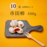 干し柿 市田柿 送料無料 長野 たっぷり 500g 10袋セット 自宅用 家庭用 干柿 ほしがき ほし柿 いちだ柿 いちたドライフルーツ お得用 人気 砂糖不使用 国産 お取り寄せ 自分用 産地直送 お菓子 プレゼント スイーツ 果物 フルーツ persimmon 保存食 和菓子｜価格・送料・ポイント還元まとめ