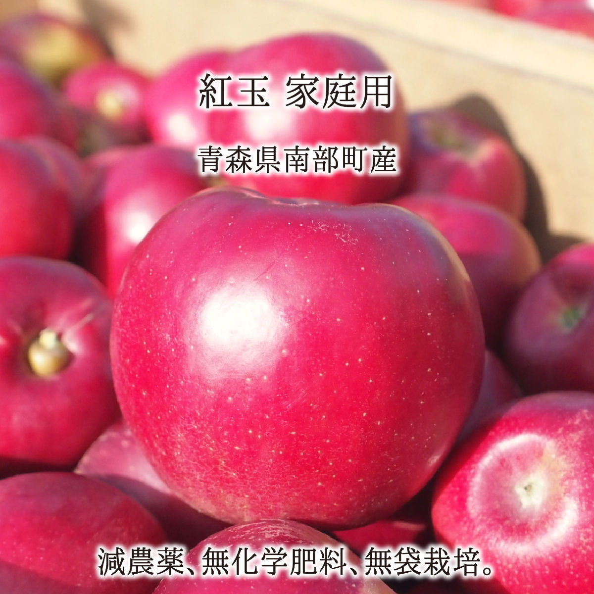 紅玉 訳あり 5kg 10kg 15kg 減農薬 無化学肥料 青森県南部町産 りんご 家庭用 10月中旬〜11月中旬 送料無料｜価格・送料・ポイント還元まとめ｜レビュー66件