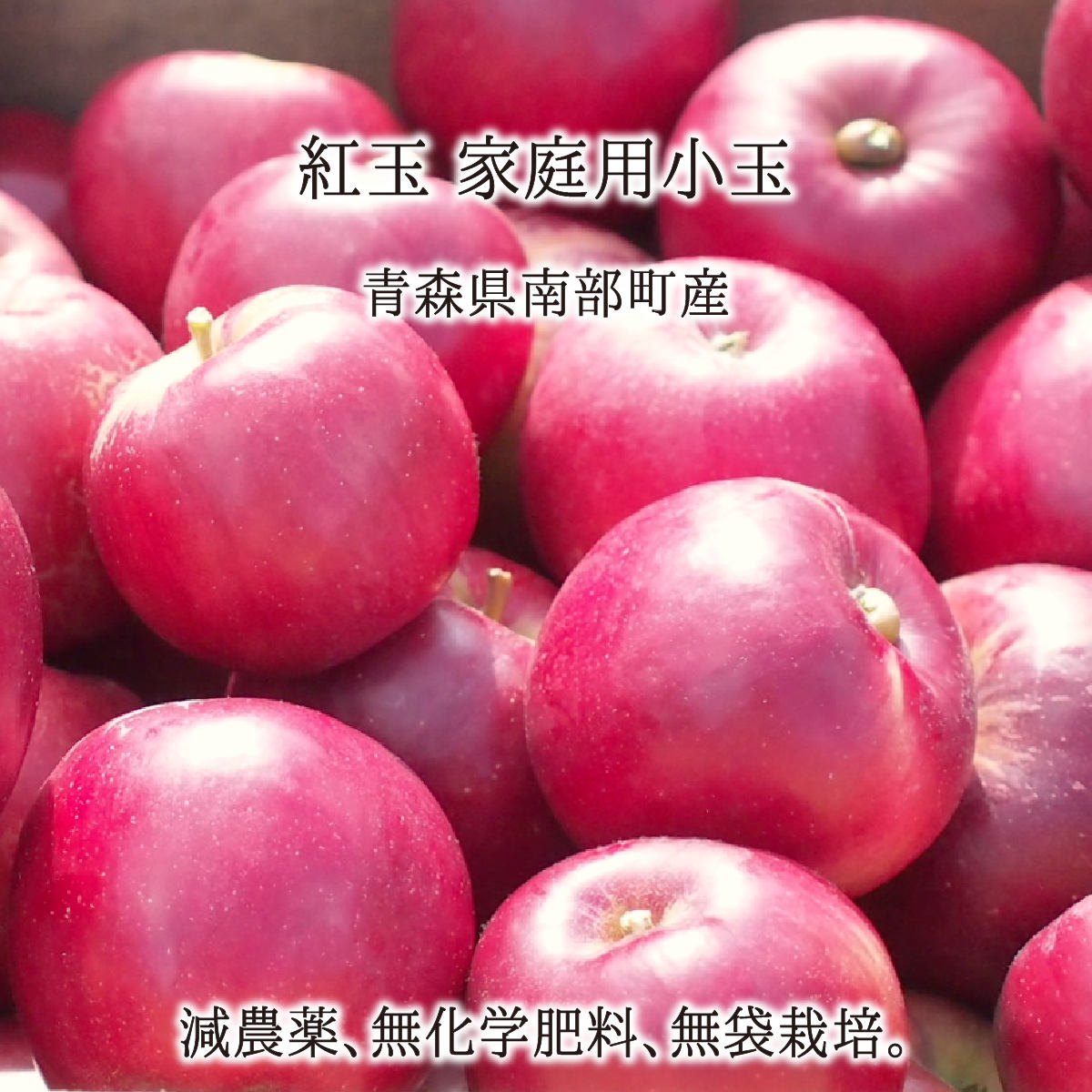 紅玉 秀品・訳あり混載(小玉) 4.5kg 9kg 13.5kg 減農薬 無化学肥料 青森県南部町産 りんご 家庭用 10月中旬〜11月中旬 送料無料｜価格・送料・ポイント還元まとめ｜レビュー62件