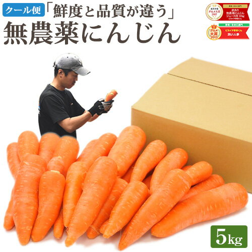 【スーパーSALE限定100円OFF】クール便 無農薬 人参 にんじん 5kg 5キロ 送料無料 訳あり 無農薬人参 無農薬にんじん 無化学肥料栽培 洗い ニンジン 有機人参 有機 国産 規格外品 B品 ジュース用 不揃い 人参ジュース にんじんジュース 野菜 生鮮食品 糖度測定｜価格・送料・ポイント還元まとめ｜レビュー3259件