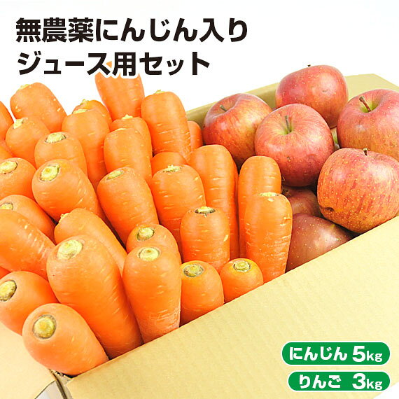 【クール便】 訳あり 無農薬にんじん 入り にんじんりんご ジュース用 野菜セット ( にんじん 5kg ＋ りんご 3kg ) 無農薬人参 無農薬 人参 ニンジン 有機 有機人参 特別栽培 国産 規格外品 不揃い にんじんジュース 人参ジュース ニンジンジュース 詰め合わせ 生鮮 食品｜価格・送料・ポイント還元まとめ｜レビュー276件