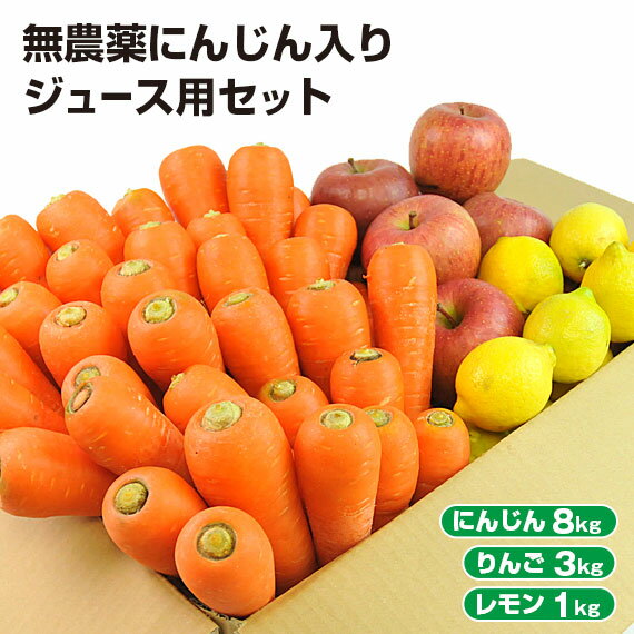 【クール便】 訳あり 無農薬にんじん 入り にんじんりんごレモン ジュース用 野菜セット ( にんじん 8kg ＋ りんご 3kg ＋ レモン 1kg ) 無農薬人参 無農薬 人参 ニンジン 有機 有機人参 特別栽培 国産 規格外品 不揃い にんじんジュース 人参ジュース 詰め合わせ 生鮮 食品｜価格・送料・ポイント還元まとめ｜レビュー326件