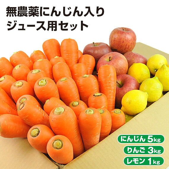 【クール便】 訳あり 無農薬にんじん 入り にんじんりんごレモン ジュース用 野菜セット ( にんじん 5kg ＋ りんご 3kg ＋ レモン 1kg ) 無農薬人参 無農薬 人参 ニンジン 有機 有機人参 特別栽培 国産 規格外品 不揃い にんじんジュース 人参ジュース 詰め合わせ 生鮮 食品｜価格・送料・ポイント還元まとめ｜レビュー313件