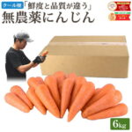 【クール便】雑誌で紹介！ 訳あり 無農薬 人参 にんじん 6kg 6キロ 送料無料 無農薬人参 無農薬にんじん 無化学肥料栽培 洗い ニンジン 有機人参 有機 有機JAS認証 国産 規格外品 B品 ジュース用 不揃い 人参ジュース にんじんジュース 野菜 生鮮食品 糖度測定 鮮度保持袋｜価格・送料・ポイント還元まとめ｜レビュー62件