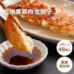 【お店で 手作り】生餃子 九州産豚肉 餃子 48個 12個×4 送料無料 一口餃子 山口県 ブランド 国産野菜 国内製造 こだわりの 化学調味料 不使用 合成保存料 無添加 ギフト プレゼント ギョーザ ぎょうざ ギョウザ おかず お弁当 冷凍食品 お取り寄せ パーティー お中元｜価格・送料・ポイント還元まとめ｜レビュー2件