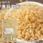 発芽玄米 20kg 豆力 玄米 玄氣 米 発芽米 無洗米タイプ 日本米 国産米 国内産 穀物 健康米｜価格・送料・ポイント還元まとめ｜レビュー5件