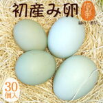 卵 生卵 高級卵 贈答 緑の一番星 初産み卵 たまご ギフト【生卵30個入(生卵25個+破損保証5個)】トレイ入 小さめサイズ 卵かけご飯 アローカナ 大黄卵鶏が産む 青い卵 緑の卵 のし カード無料 食べ物 プレゼント お取り寄せ グルメ 玉子 実用的｜価格・送料・ポイント還元まとめ｜レビュー207件